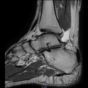 Introductory MRI Course